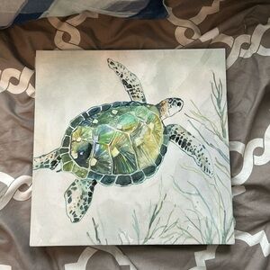 Turtle wall art